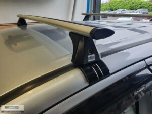 CRUZ Airo Silver Roof Racks
