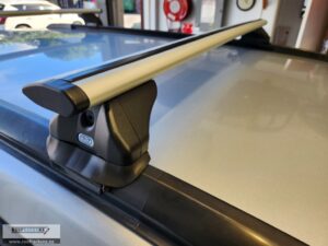 CRUZ Airo Silver Roof Racks