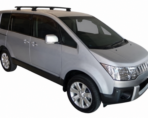 D5 Delica 2 bars black
